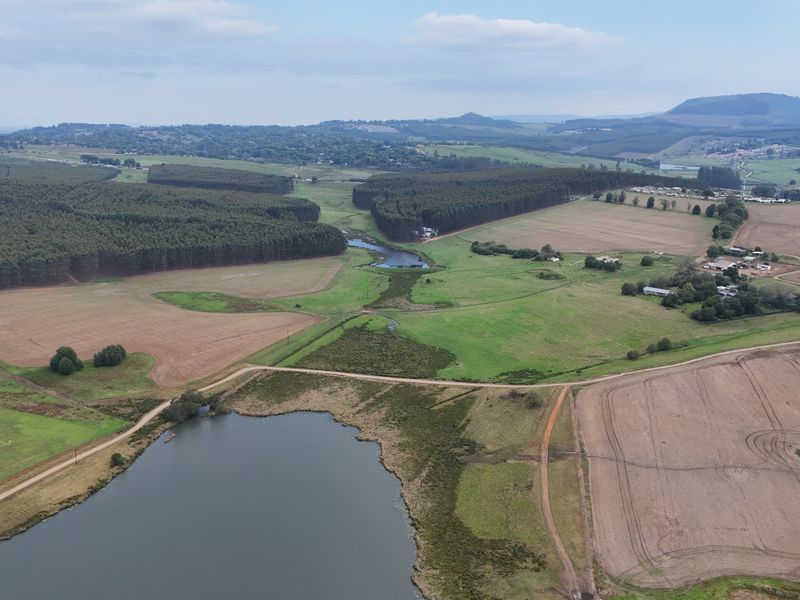 Exclusive 1-Hectare Country Living on Prestigious Hilton College Road - Photo 2