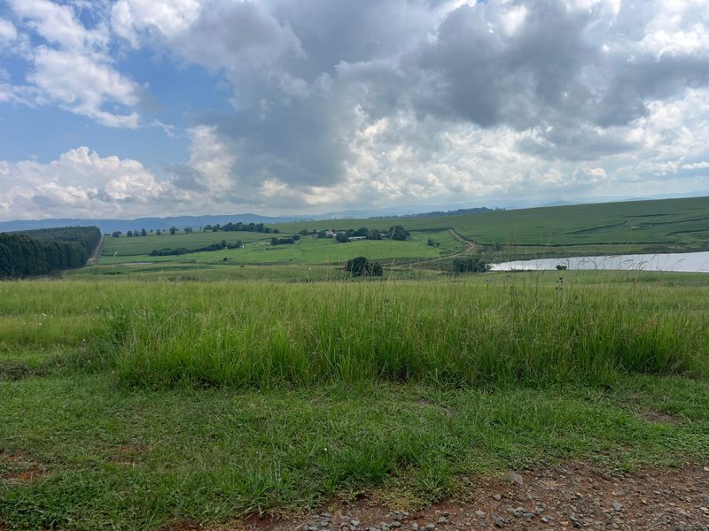 Exclusive 1-Hectare Country Living on Prestigious Hilton College Road - Photo 10