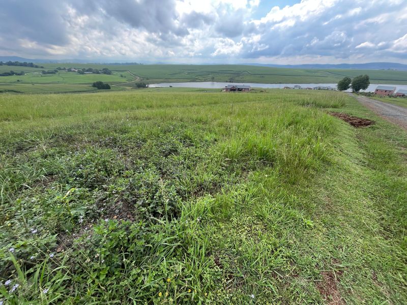 Exclusive 1-Hectare Country Living on Prestigious Hilton College Road - Photo 8