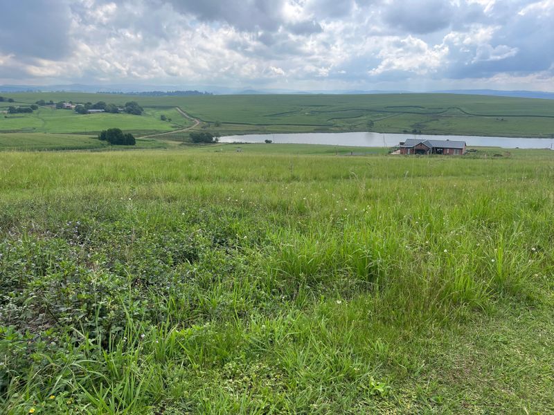 Exclusive 1-Hectare Country Living on Prestigious Hilton College Road - Photo 9