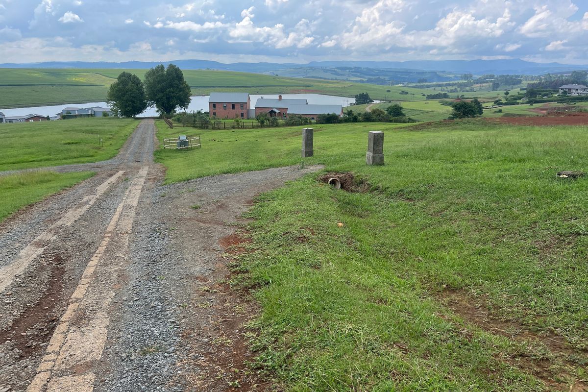 Exclusive 1-Hectare Country Living on Prestigious Hilton College Road - Photo 4