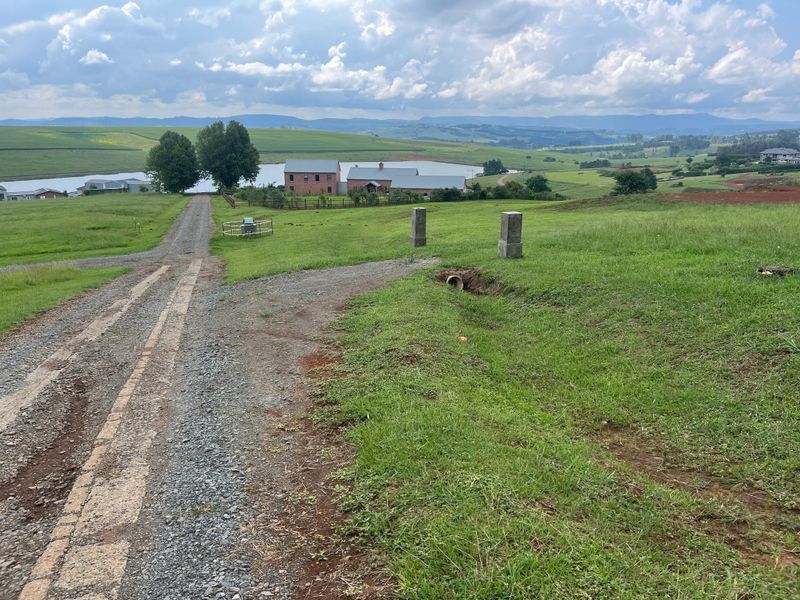 Exclusive 1-Hectare Country Living on Prestigious Hilton College Road - Photo 4