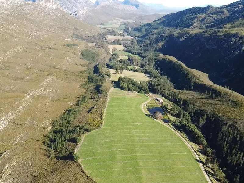 911 Ha Dairy and fruit farm for sale in Riversdale Rural - Photo 7