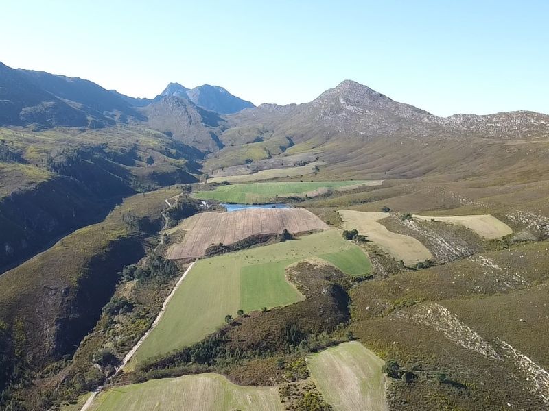 911 Ha Dairy and fruit farm for sale in Riversdale Rural - Photo 6