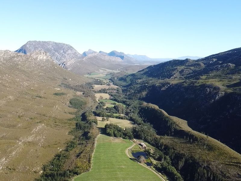 911 Ha Dairy and fruit farm for sale in Riversdale Rural - Photo 5