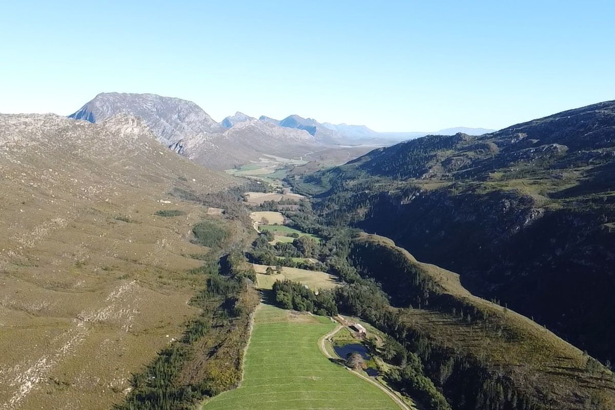 911 Ha Dairy and fruit farm for sale in Riversdale Rural - Photo 5