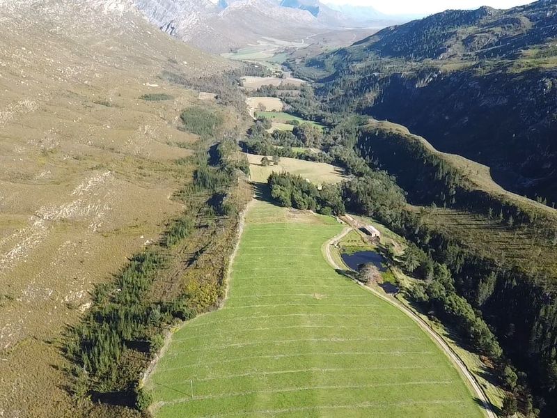 911 Ha Dairy and fruit farm for sale in Riversdale Rural - Photo 8