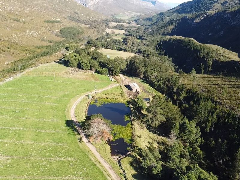 911 Ha Dairy and fruit farm for sale in Riversdale Rural - Photo 10