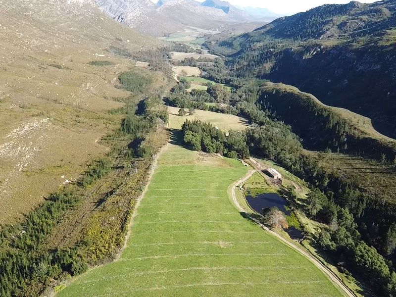 911 Ha Dairy and fruit farm for sale in Riversdale Rural - Photo 9