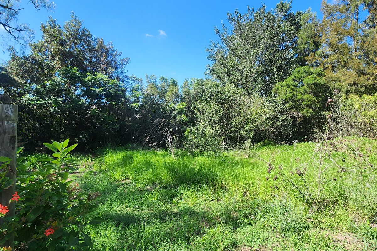 Tucked Away Treasure – Your Private Slice of Paradise - Photo 4