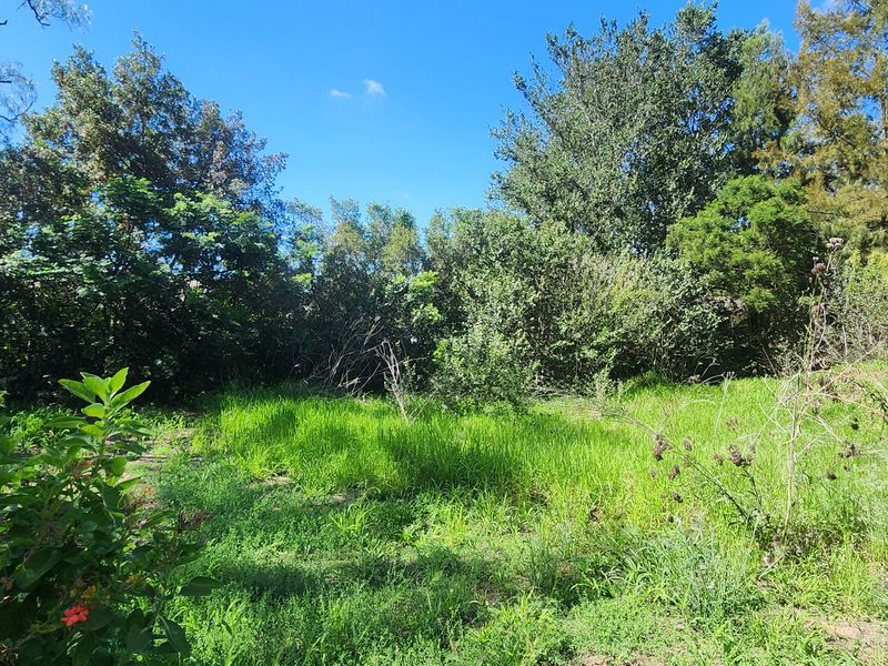 Tucked Away Treasure – Your Private Slice of Paradise - Photo 4