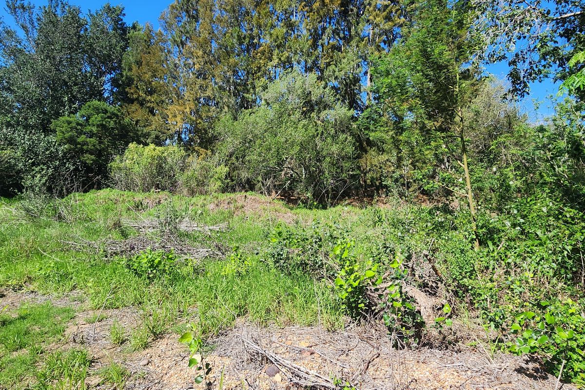 Tucked Away Treasure – Your Private Slice of Paradise - Photo 3