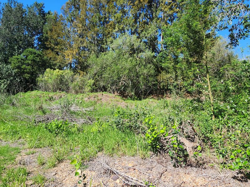 Tucked Away Treasure – Your Private Slice of Paradise - Photo 3