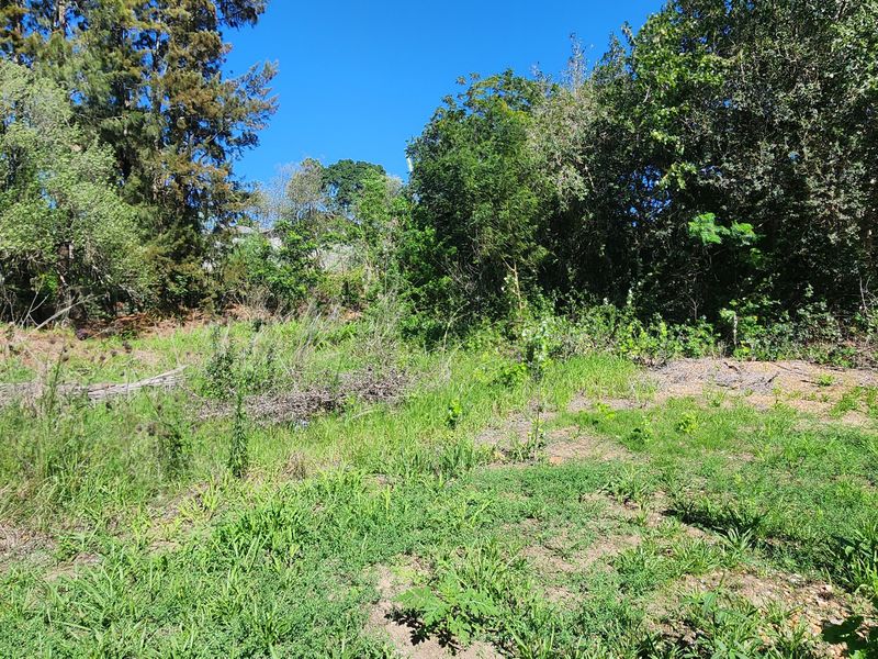 Tucked Away Treasure – Your Private Slice of Paradise - Photo 10