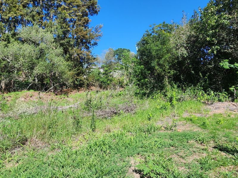 Tucked Away Treasure – Your Private Slice of Paradise - Photo 9