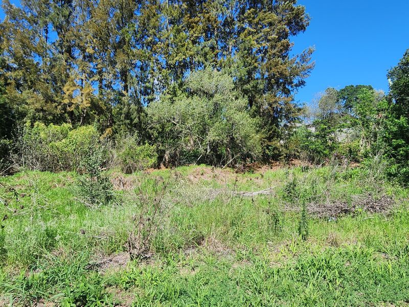 Tucked Away Treasure – Your Private Slice of Paradise - Photo 8