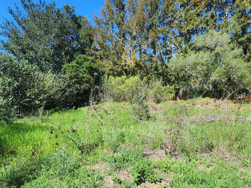 Tucked Away Treasure – Your Private Slice of Paradise - Photo 7