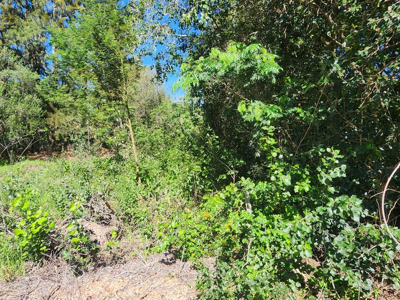 Tucked Away Treasure – Your Private Slice of Paradise - Photo 6