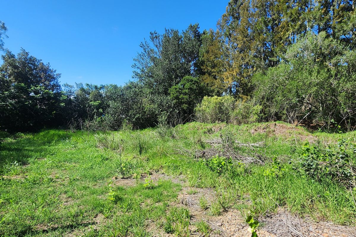 Tucked Away Treasure – Your Private Slice of Paradise - Photo 2