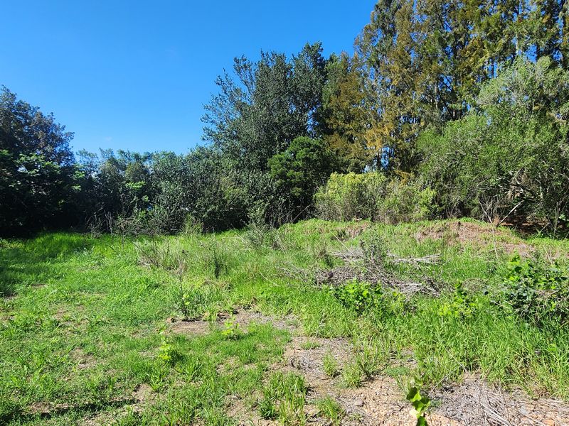 Tucked Away Treasure – Your Private Slice of Paradise - Photo 2