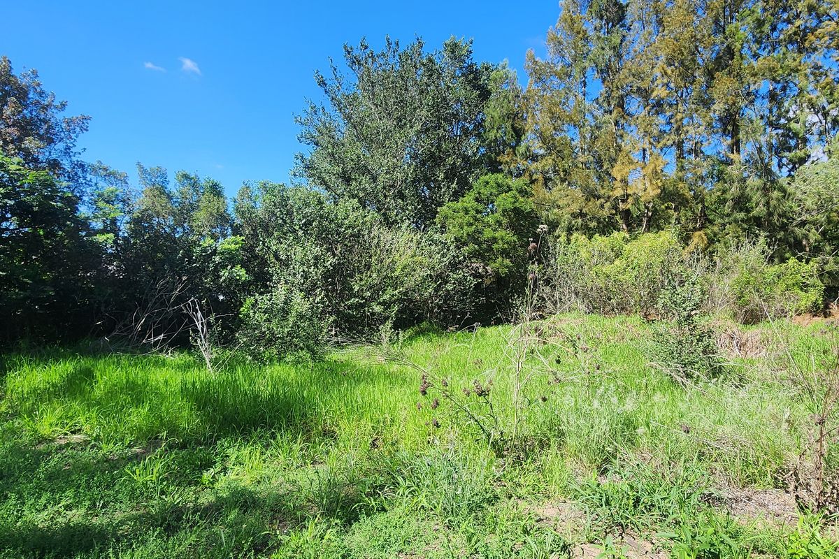 Tucked Away Treasure – Your Private Slice of Paradise - Photo 5