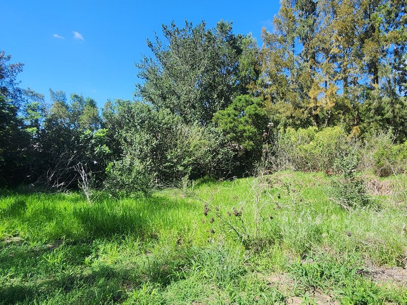 Tucked Away Treasure – Your Private Slice of Paradise - Photo 5