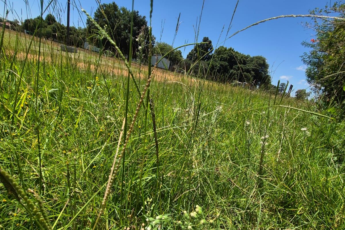 Make this your new project !! URGENT Sale !! - Photo 5