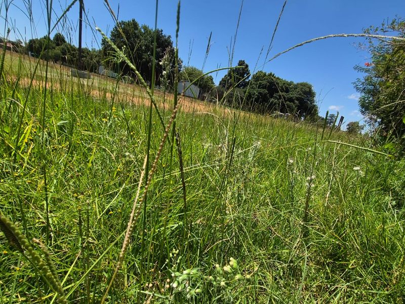 Make this your new project !! URGENT Sale !! - Photo 5