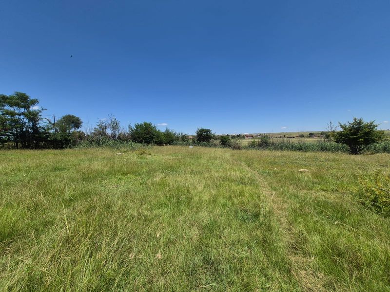 Make this your new project !! URGENT Sale !! - Photo 9