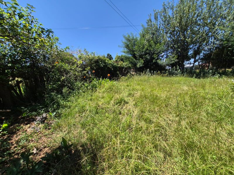 Make this your new project !! URGENT Sale !! - Photo 6