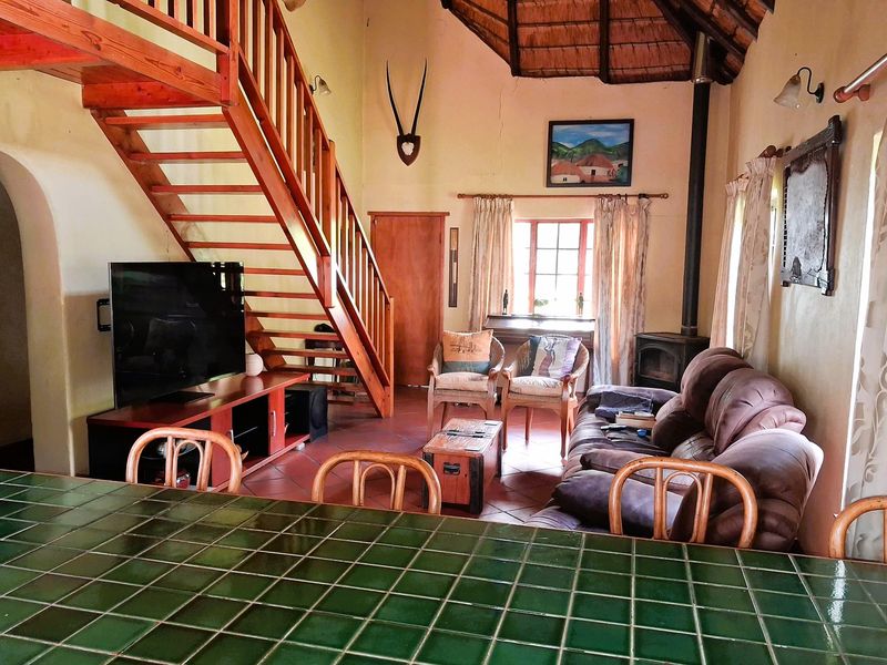 Versatile Income-Generating Smallholding on Allan Road, Glen Austin - Photo 9