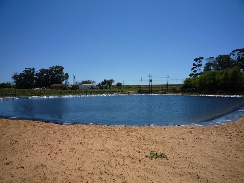 Auction in Lutzville: Water-Rich farm, Western Cape - Photo 5