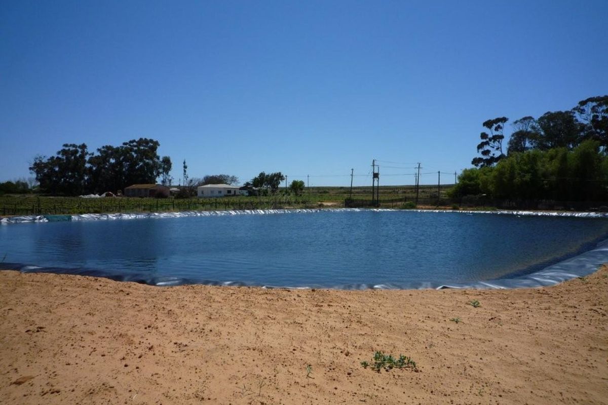 Auction in Lutzville: Water-Rich farm, Western Cape - Photo 5