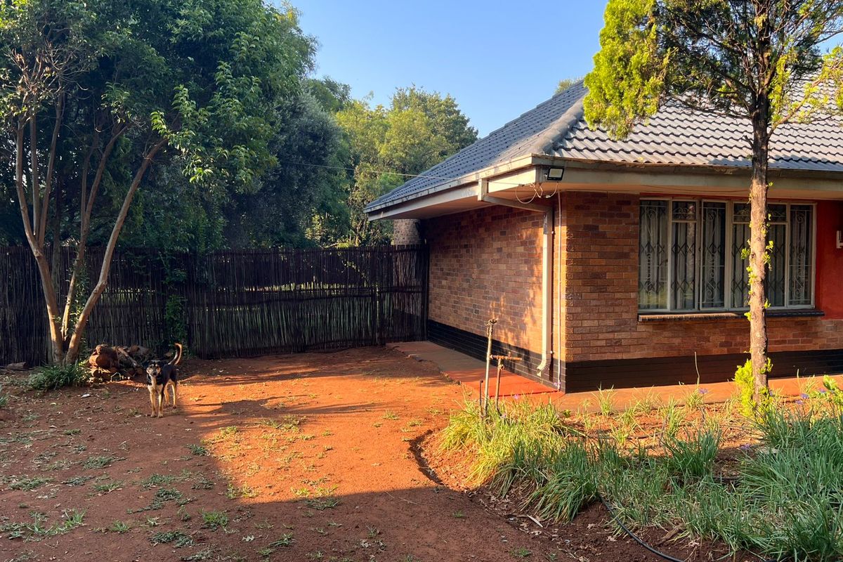 Charming 4-bedroom house in Vereeniging Three River, featuring modern amenities and a spacious yard! - Photo 4