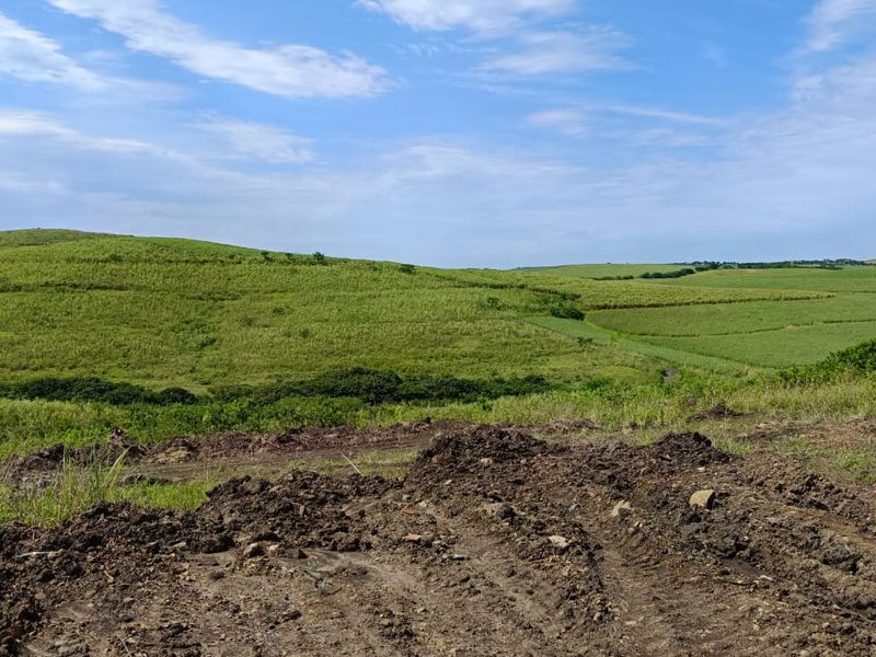 Unbelievable Opportunity for Stylish Estate Living - Photo 6