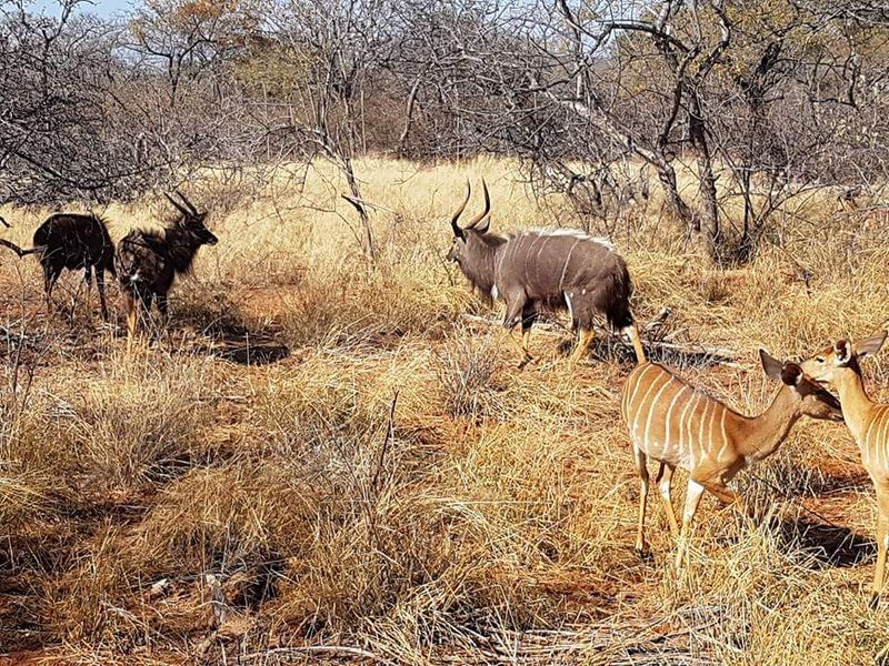 Vacant stand for sale - Photo 5