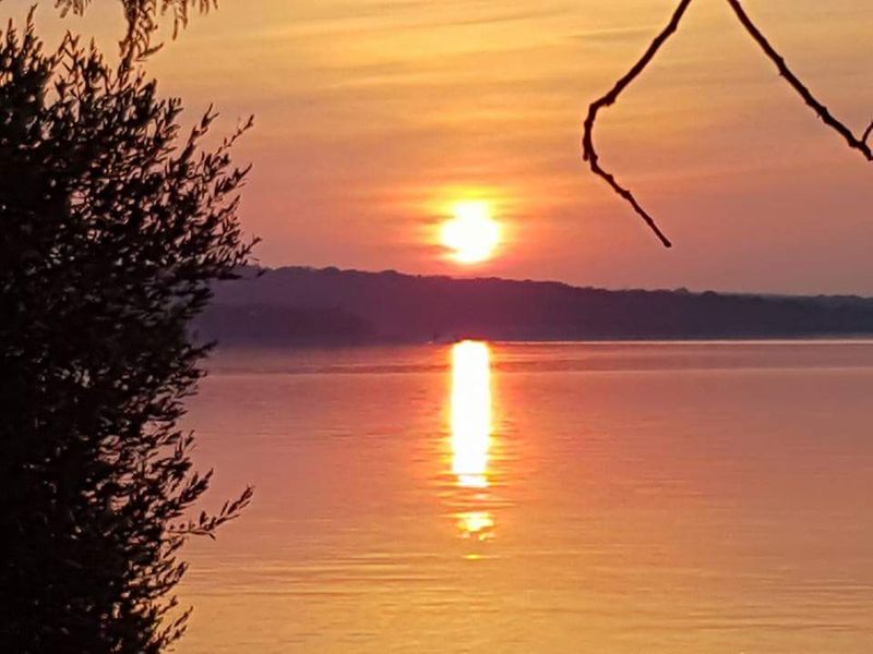 Vacant stand for sale - Photo 6