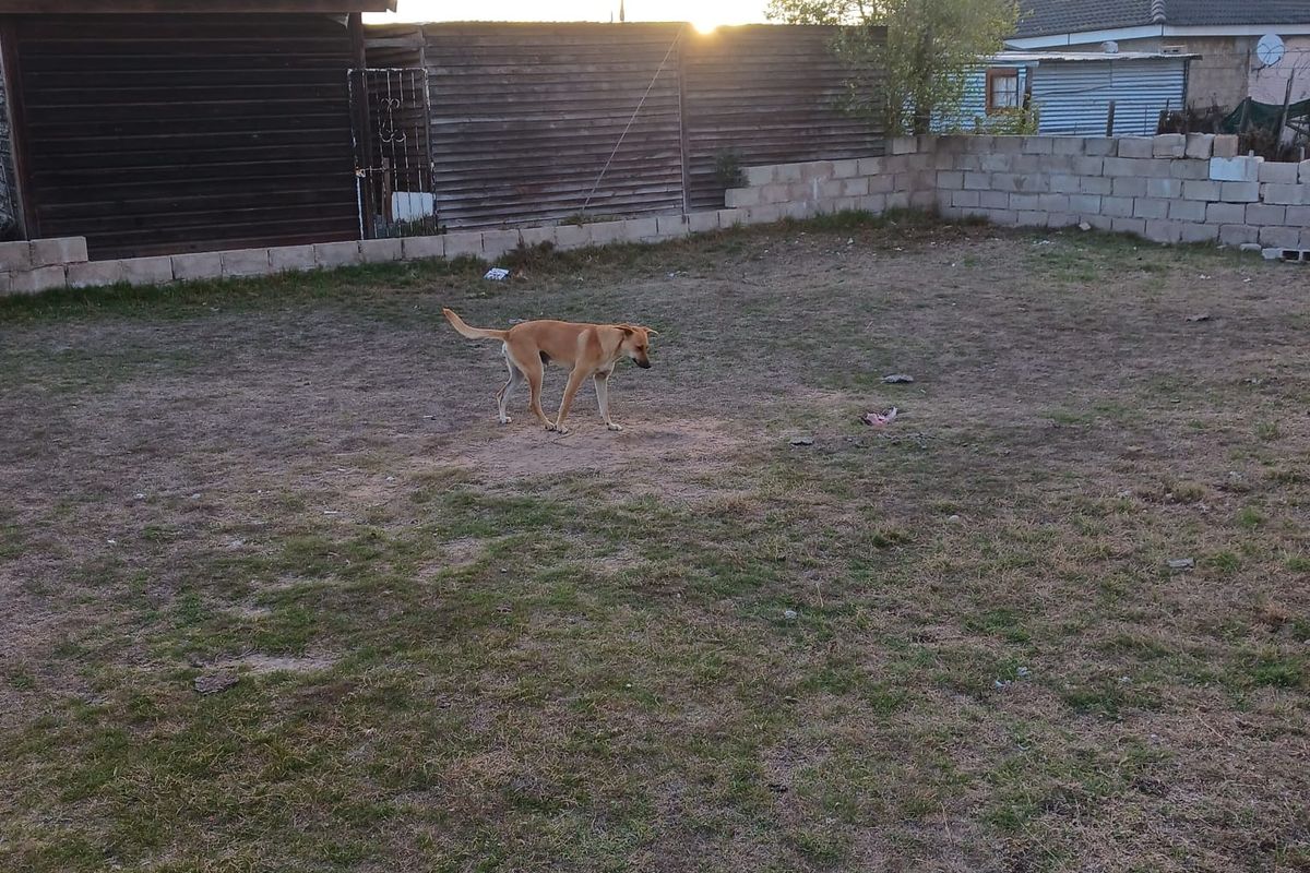 House Pending Sale In Mossel Bay - Photo 2