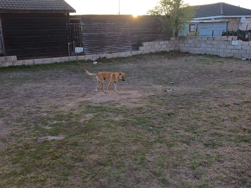 House Pending Sale In Mossel Bay - Photo 2