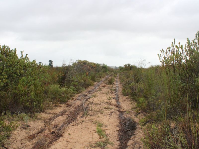 Lifestyle Farm for Sale in Riversdale. - Photo 9