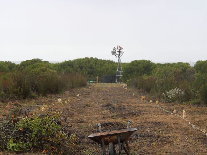 Lifestyle Farm for Sale in Riversdale. - Photo 8