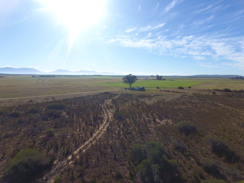 Lifestyle Farm for Sale in Riversdale. - Photo 6