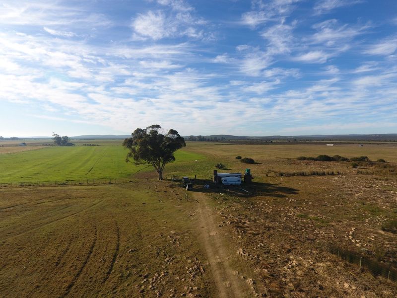 Lifestyle Farm for Sale in Riversdale. - Photo 2