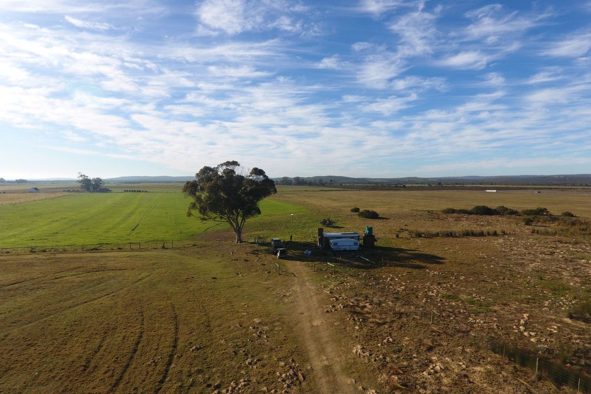 Lifestyle Farm for Sale in Riversdale. - Photo 2