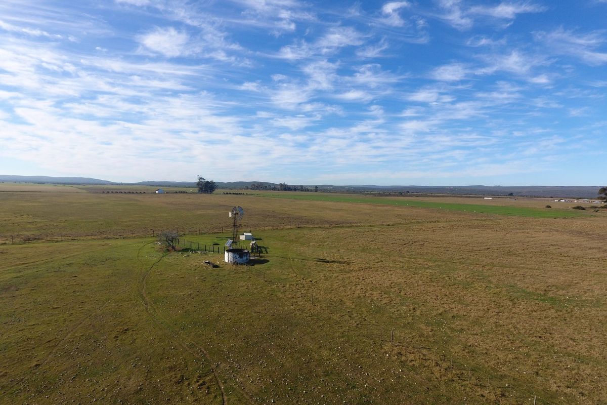 Lifestyle Farm for Sale in Riversdale. - Photo 4