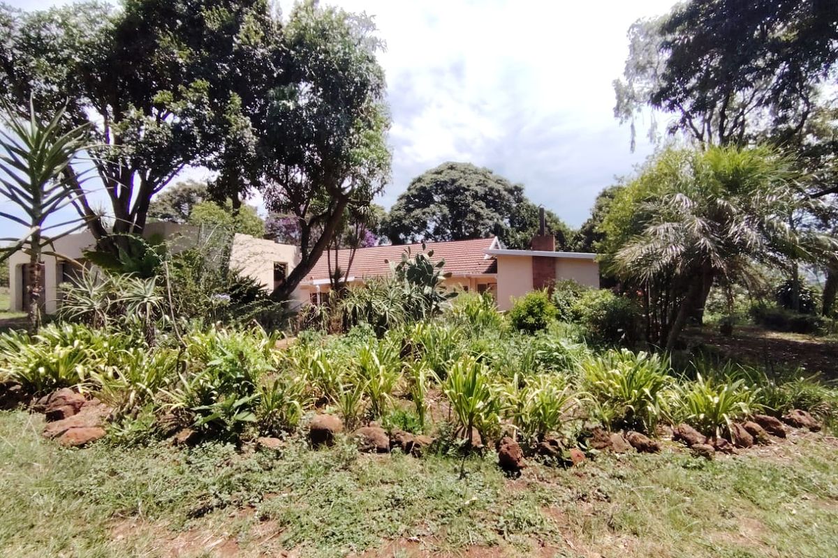 House on Smallholding To Let - Photo 2