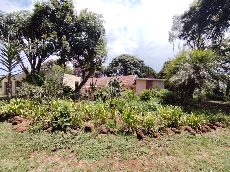 House on Smallholding To Let - Photo 2