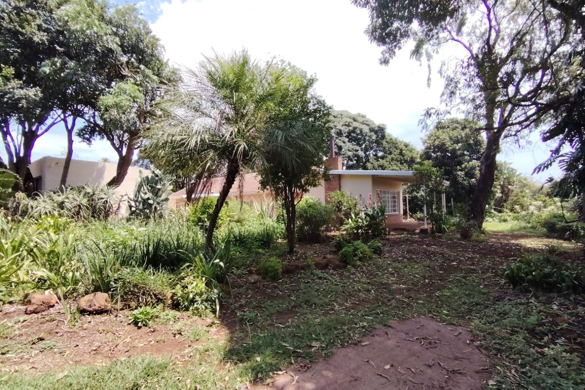 House on Smallholding To Let - Photo 5