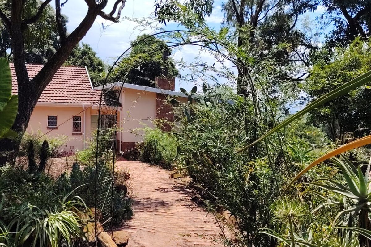 House on Smallholding To Let - Photo 4