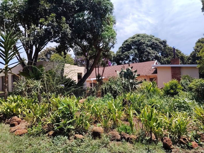 A view of the rear elevation of the house featuring a tiled roof, brick chimney, and established garden landscaping.